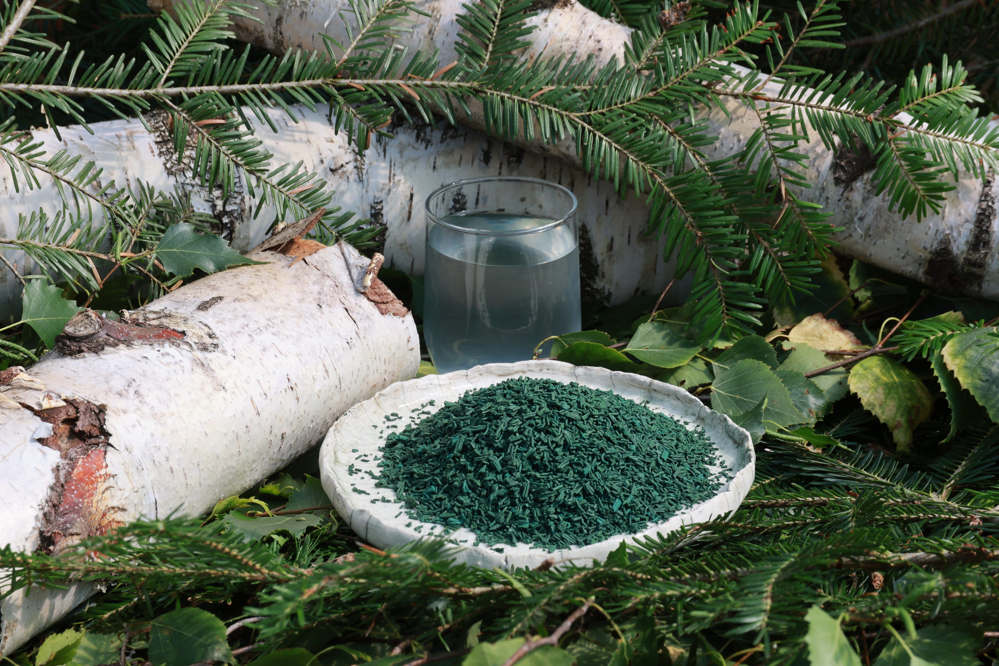 Optimisez votre bien-être avec le rituel naturel des 5 saisons